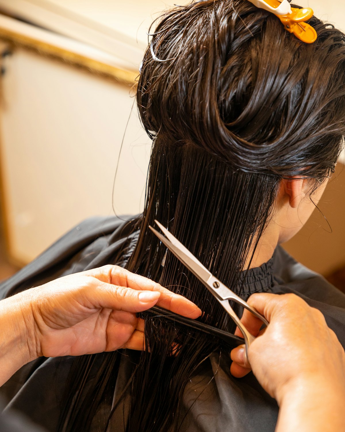 Peluquera cortando el pelo largo y mojado de una clienta